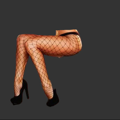 Lapdance Fencenet Pantyhose - Black - One Size