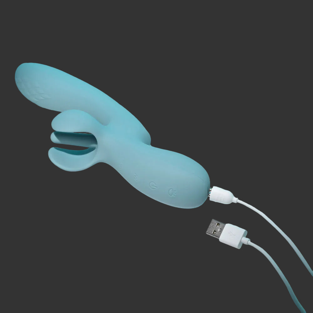 Evolved TAKE YOUR FLICK Vib with Flicking Clit Stim