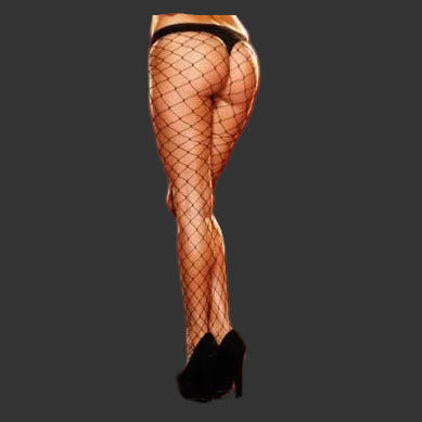Lapdance Fencenet Pantyhose - Black - One Size